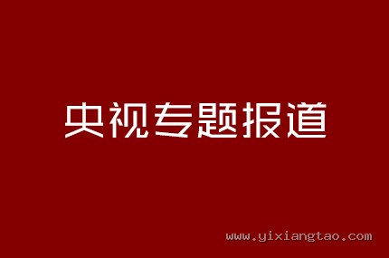 央视专题报道