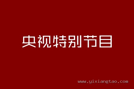 央视特别节目
